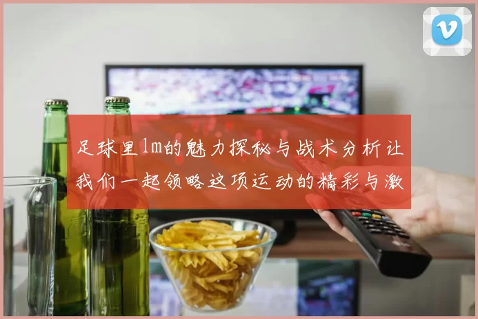 足球里lm的魅力探秘与战术分析让我们一起领略这项运动的精彩与激情