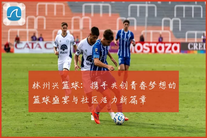 林州兴篮球：携手共创青春梦想的篮球盛宴与社区活力新篇章