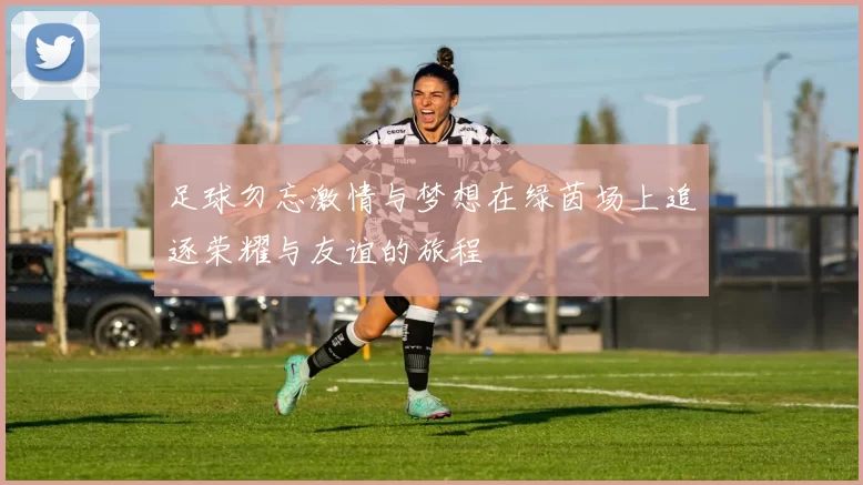 足球勿忘激情与梦想在绿茵场上追逐荣耀与友谊的旅程